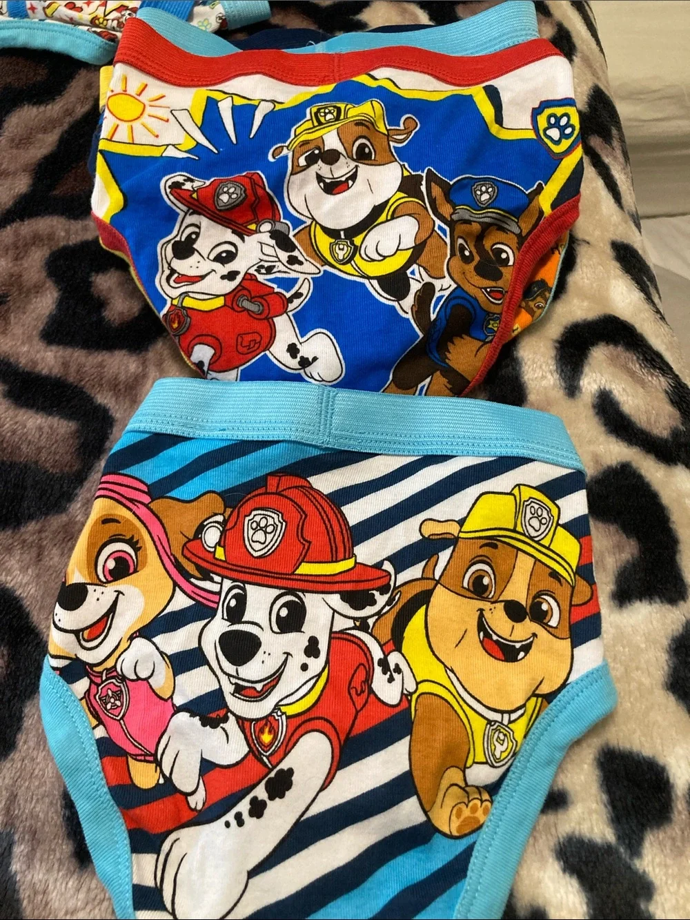 12 PAW Patrol Kids Briefs - Blue/Red/Yellow Character Underwear